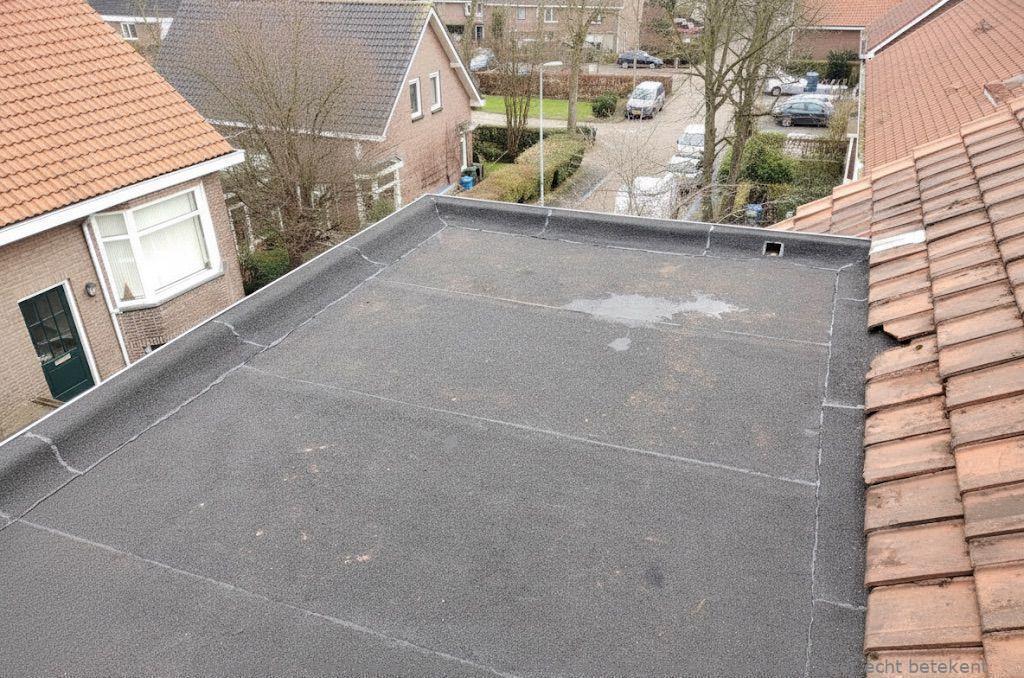 Dakdekker In Najaar Heemstede