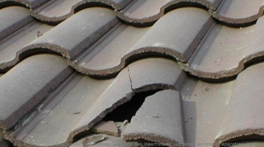 Lekkage dak Heemstede: oorzaken en snelle reparaties